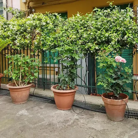 Jubilee 3 Luxury In Vatican 로마